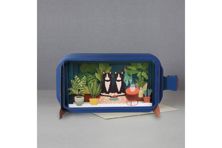 Message in a Bottle Cats Pop Up Greeting Card