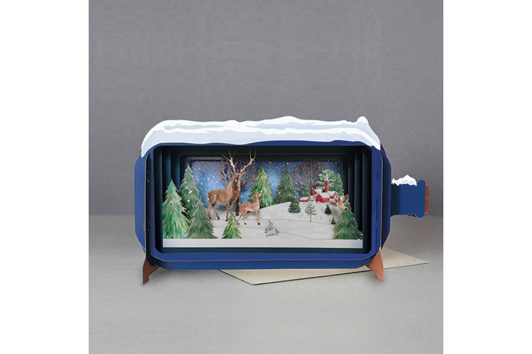 Message In A Bottle Stag Family Pop Up Greeting Card
