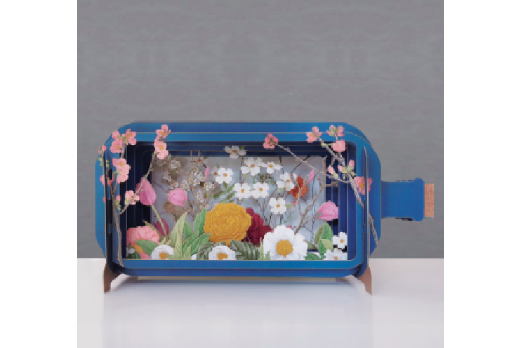 Message in a Bottle Daisies Pop Up Greeting Card