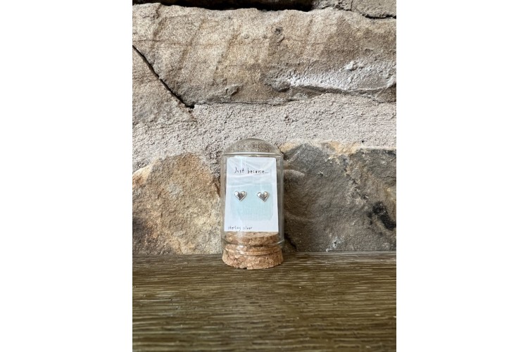 Message in a Bottle Just Because Silver Studs