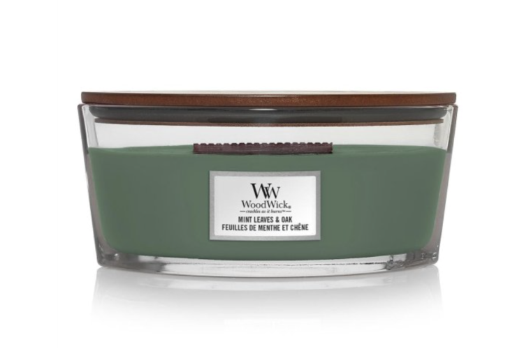 Mint Leaves & Oak Ellipse Candle