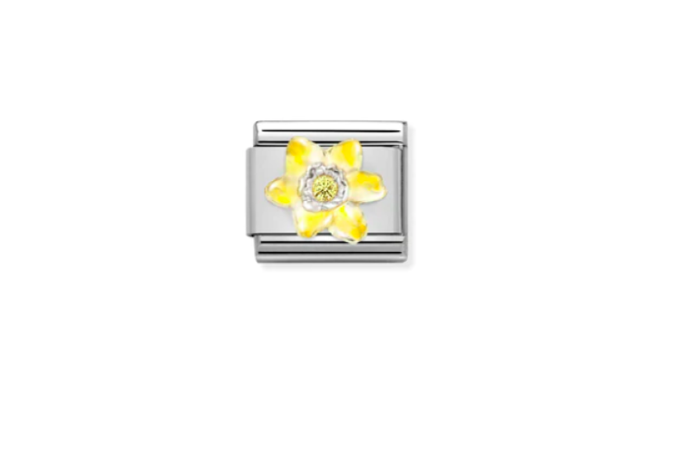 Narcissus Flower Link