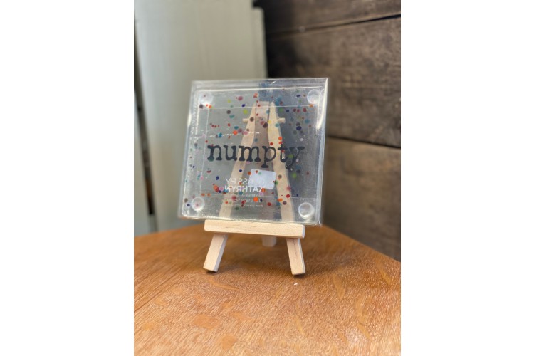 Numpty Glass Coaster