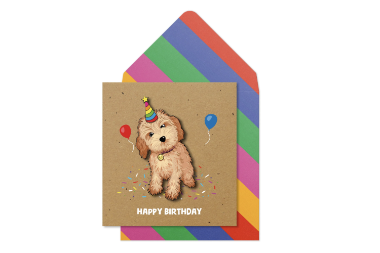 Party Cavapoo Birthday Card