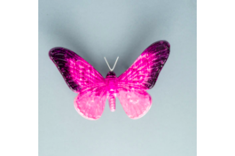 Pink Butterfly Small 