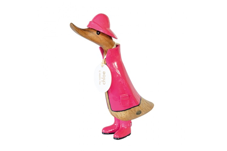 Pink Raincoat Duckling