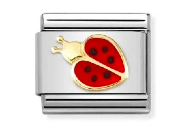 Red and Black Ladybird Link  