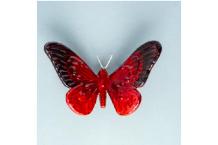 Red Butterfly large