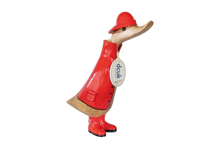 Red Raincoat Duckling