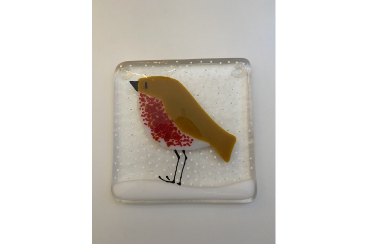 Robin Coaster