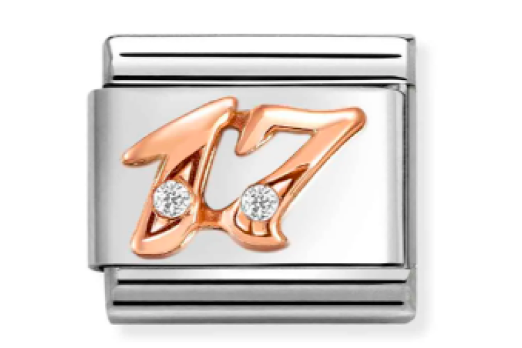 17 Rose Gold Link