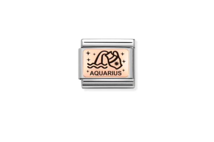 Rose Gold Aquarius Link