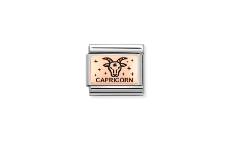 Rose Gold Capricorn Link
