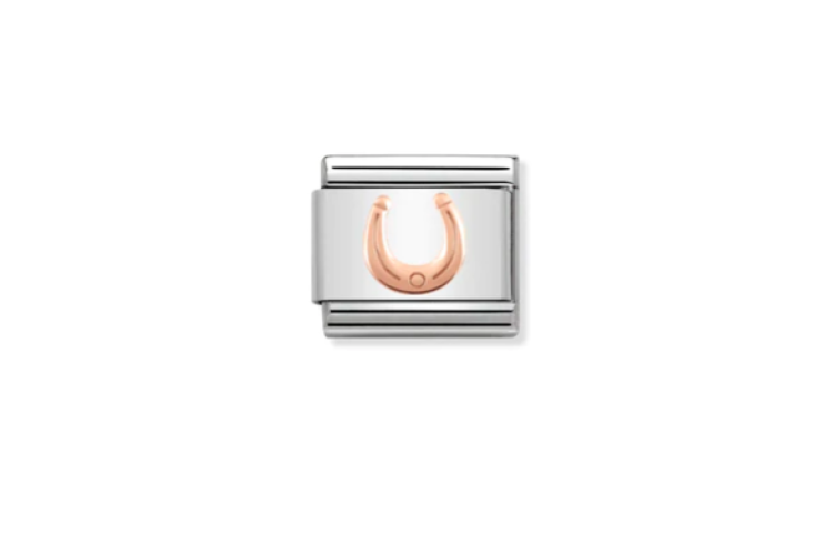 Rose Gold Horseshoe Link