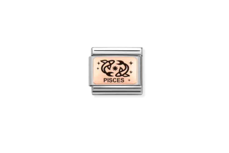 Rose Gold Pisces Link