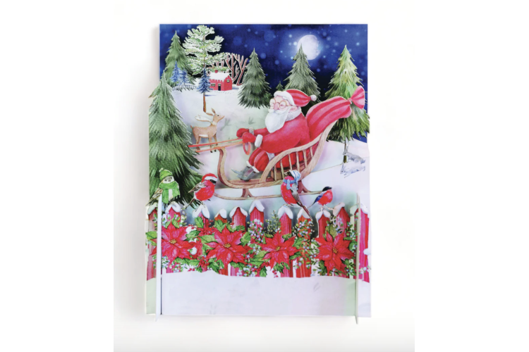 Santa's Sleigh 3D Pop Up Greeting Card