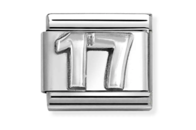 17 Silver Link