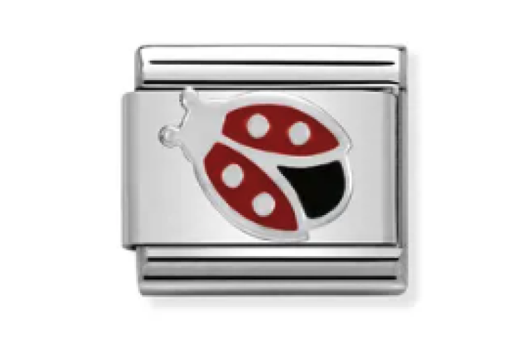Silver and Red Ladybird Link