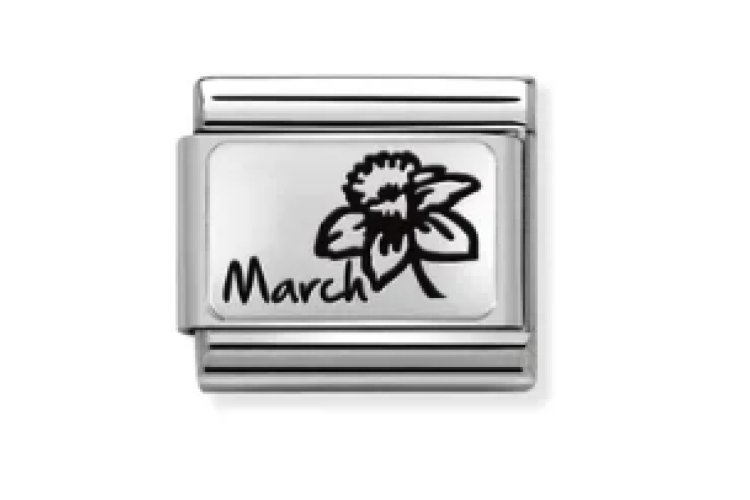 Silver Birth Month Flower Link