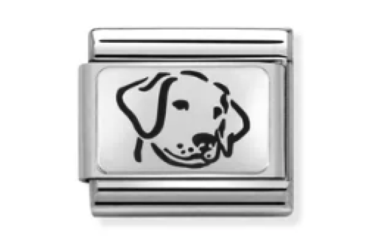 Silver Dog Link