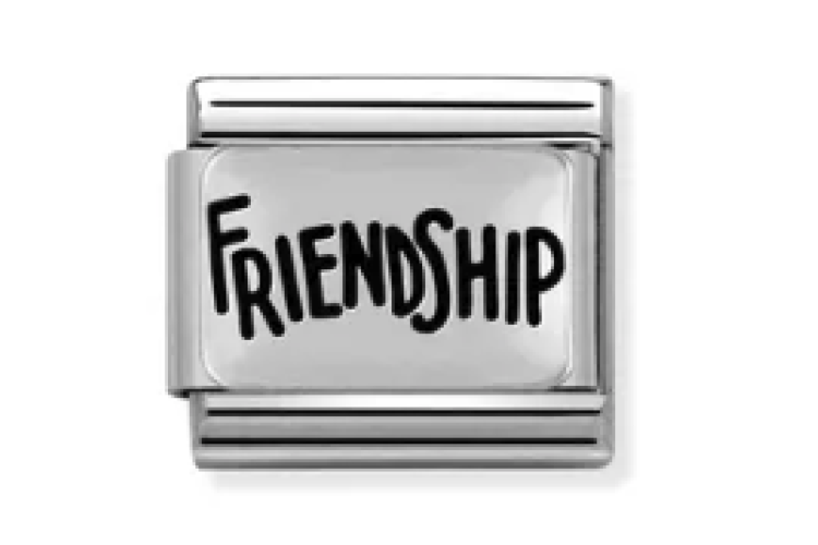 Silver Friendship Link