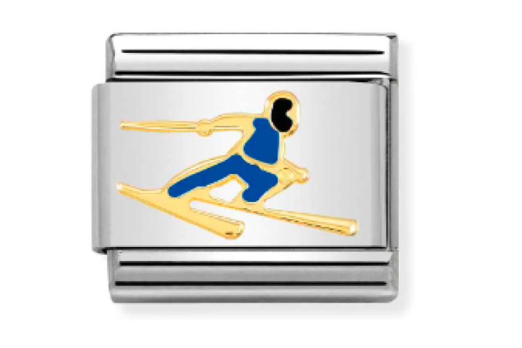 Skier Link 