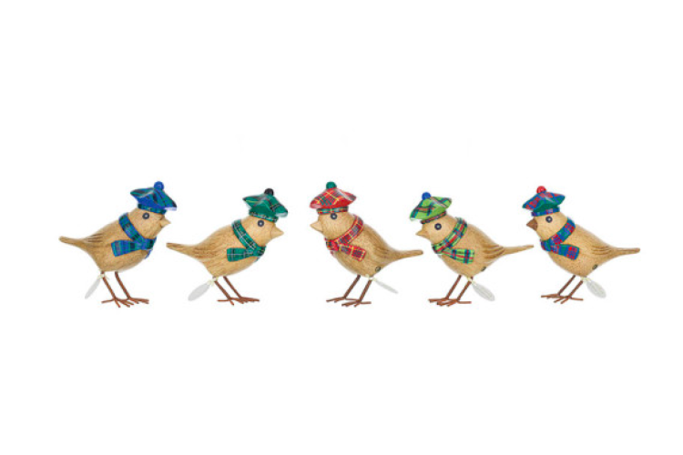 Tartan Hat Garden Birds