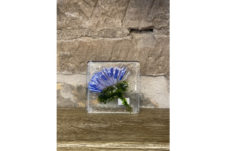 Thistle Coaster 