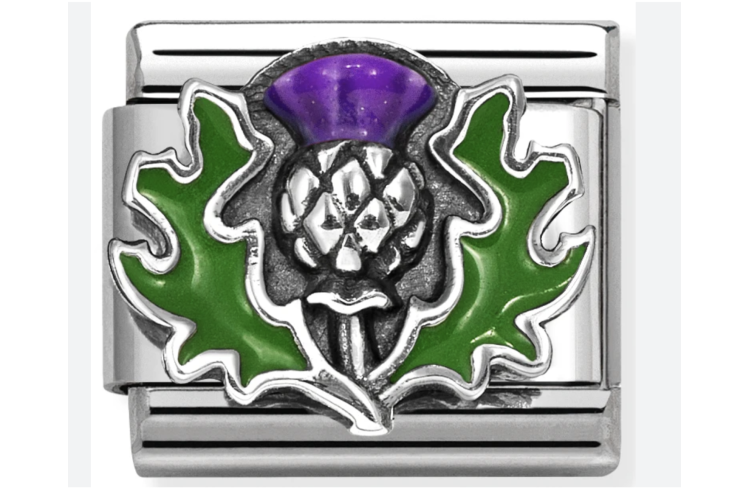 Thistle Link  