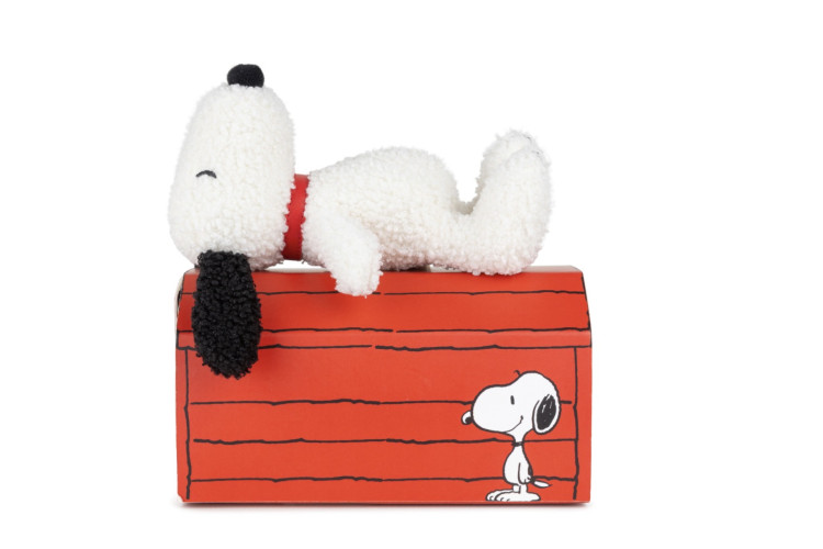 Tiny Snoopy in Gift box 