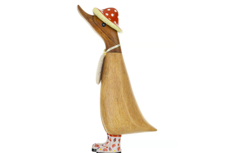 Toadstool Hat Autumn Duckling
