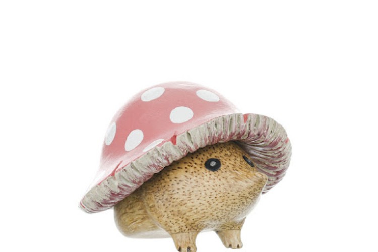 Toadstool Hedgy Pink