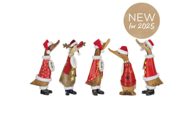 Traditional Christmas Ducklings