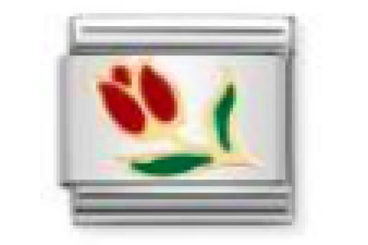 Tulip Link 