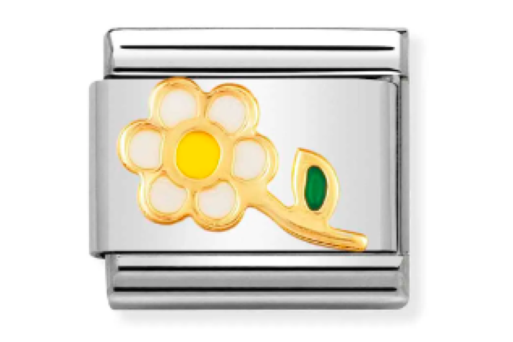 White and Yellow Flower Link 