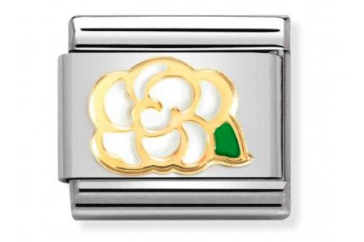 White Camellia Flower Link