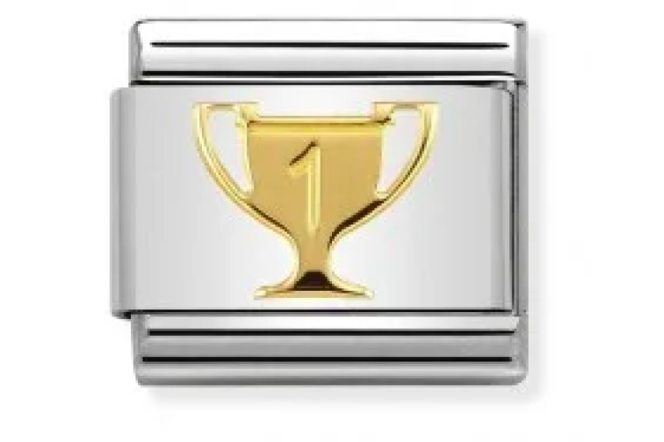 Winner Trophy Link 